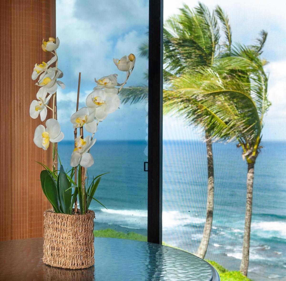 Sealodge D7 Princeville Zewnętrze zdjęcie